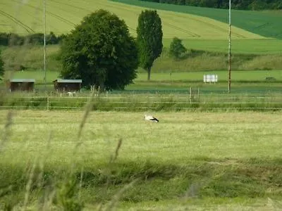 Landleben * Fritzlar